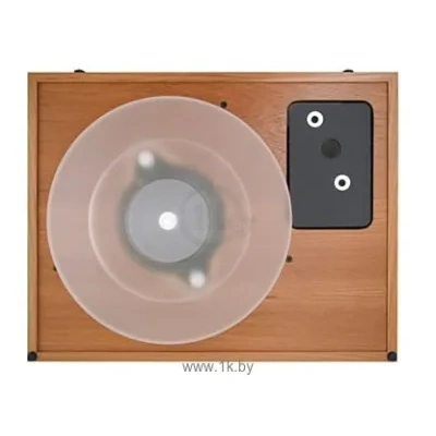 Audio Note TT-2