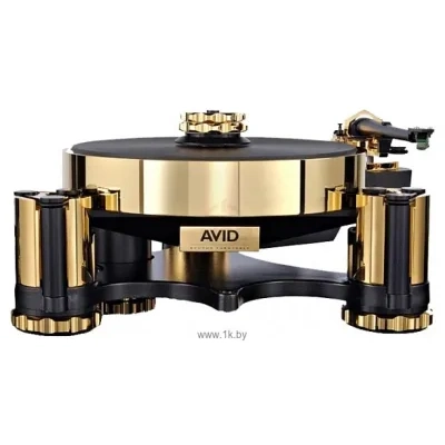 AVID Acutus Reference SP