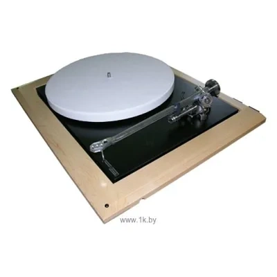 Rega P9