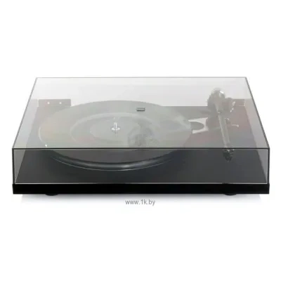 Rega Planar 6 (Ania Pro)