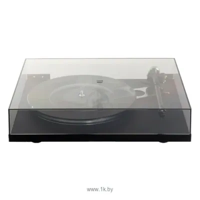 Rega Planar 6 Ania