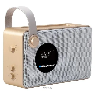 Blaupunkt PP16DAB