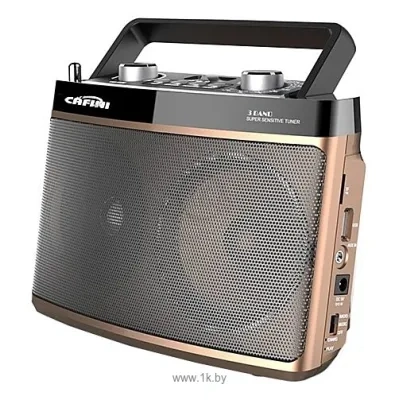 CAFINI CN-R1099FM