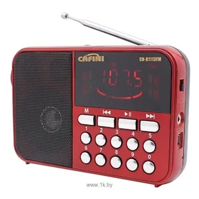 CAFINI CN-R1113FM