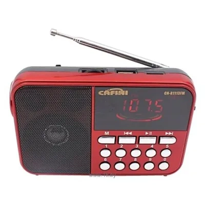 CAFINI CN-R1113FM
