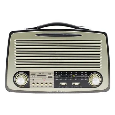 CAFINI CN-R1117FM