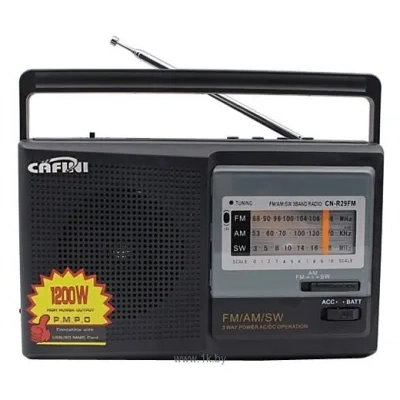 CAFINI CN-R29FM