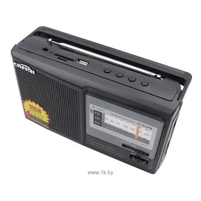 CAFINI CN-R29FM