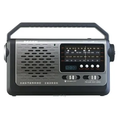 Degen DE-319A